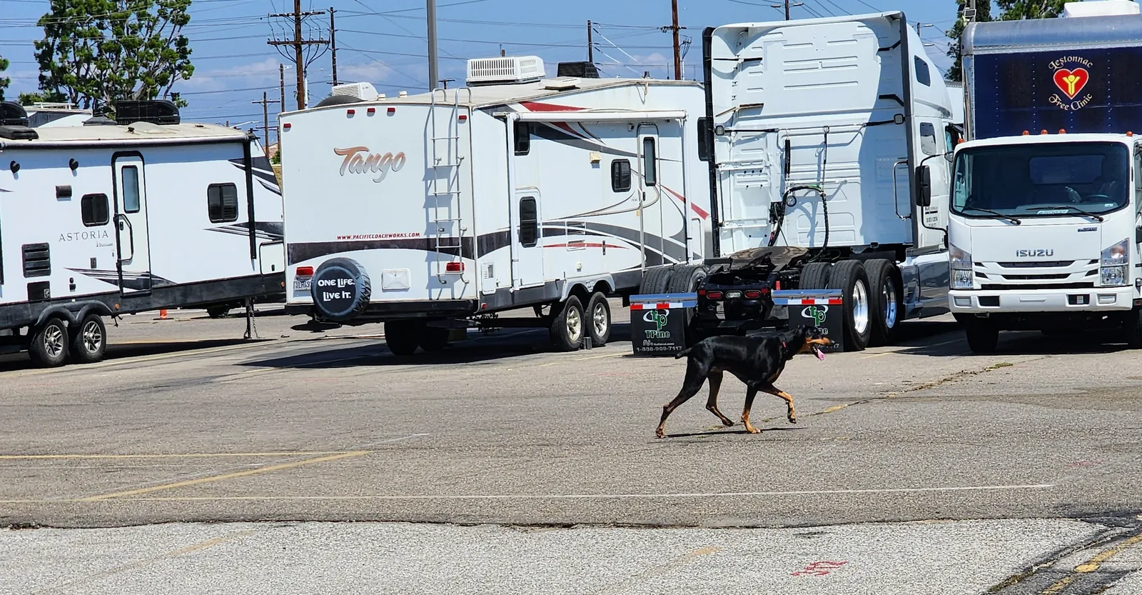 Rocky, a Doberman, walking the Circle C Storage lot with RVs, a semi truck, and a box truck in the background